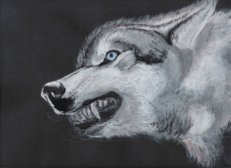 wolf_1.jpg